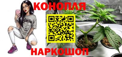 гашиш Кулебаки