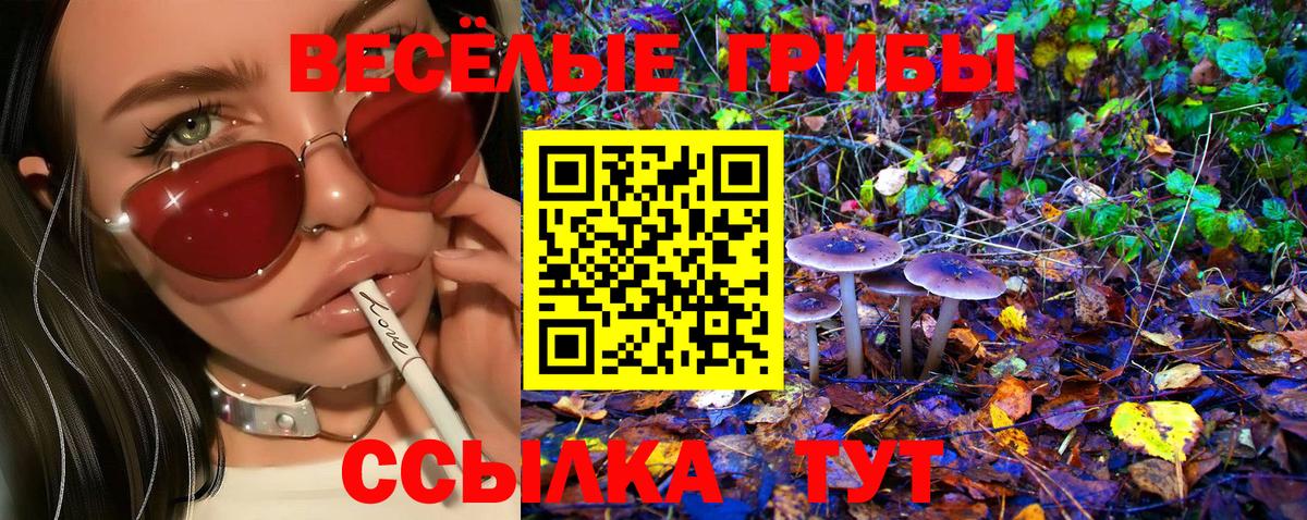 Галлюциногенные грибы Psilocybine cubensis Прохладный