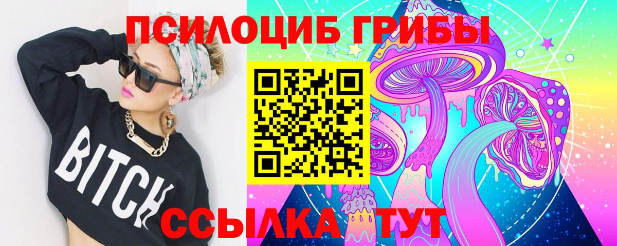 хочу   Вход с VPN  Прохладный  Псилоцибиновые грибы Psilocybine cubensis 